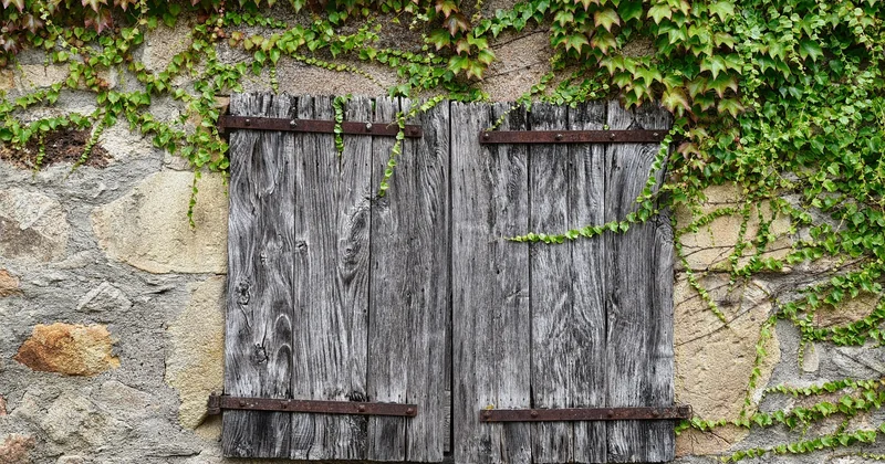 Vins nature et biodynamie : la niche qui monte