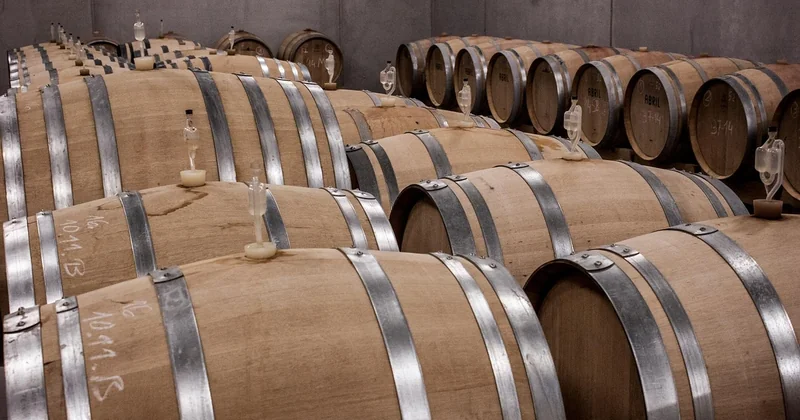 Quel vin acheter en Argentine ?